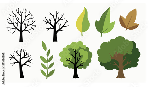 Flat Hand Drawn Tree and Leaf Vector Pack for Nature and Education Projects