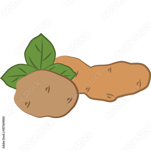 Two cartoon potatoes with green leaves on white background