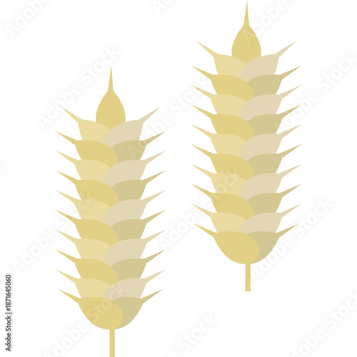 Two wheat ears icon