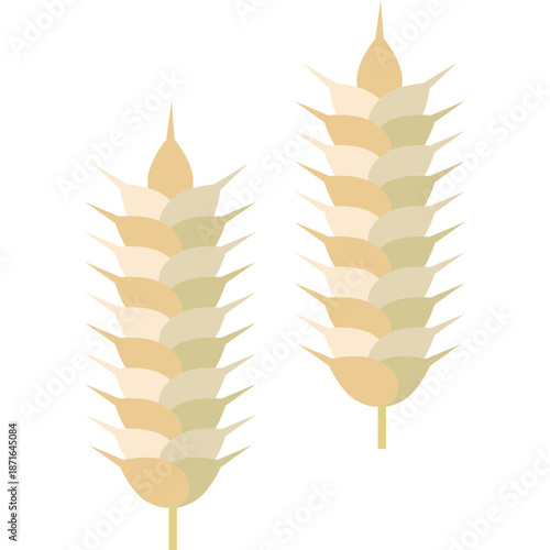 Two Wheat Stalks