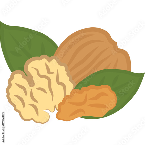 Walnuts and Green Leaves Illustration