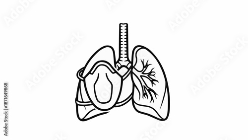 Human Lungs with Protective Face Mask Illustration.