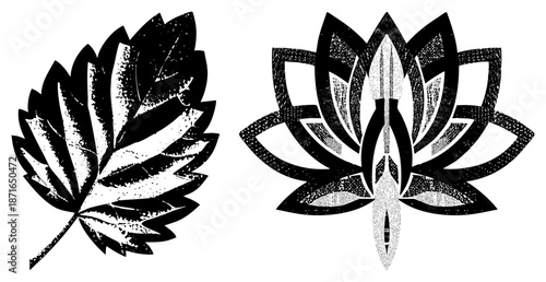 Stylized Black and White Leaf and Lotus Vector with Textured Halftone Effect