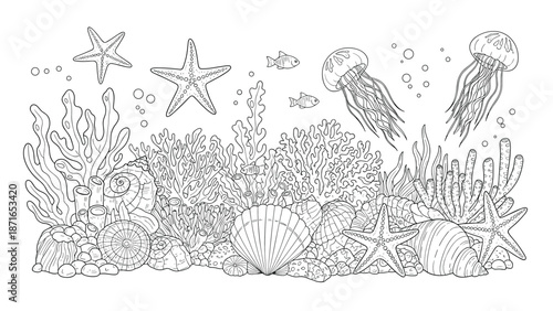 A detailed black and white line art coloring page of an underwater ocean scene with coral, starfish, jellyfish, and various seashells.