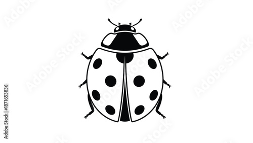 A simple and bold black and white icon of a ladybug with spots, viewed from directly above and isolated on a clean white background.
