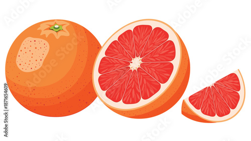 A vibrant set of fresh grapefruit illustrations, including a whole fruit, a half, and a juicy wedge, isolated on a white background.