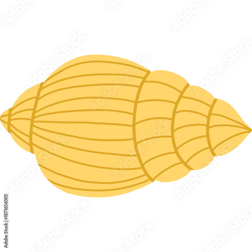 Yellow Seashell Illustration