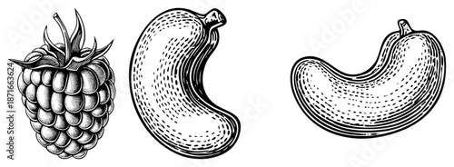 Vintage Style Illustrated Raspberry, Cashew, and Peanut in Halftone Vector Set