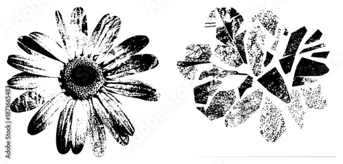 Halftone Daisy and Abstract Vector Illustration in Black and White