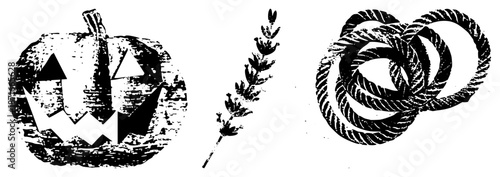 Halloween Jack o Lantern, Lavender Sprig, and Braided Rope Vector Set