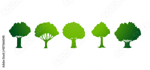 Tree Vector Illustration Collection Featuring Tropical and Orchard Trees with Mango, Apple, Banana, Orange, Coconut Palm and More Isolated on White Background, Colorful Tree Vector Illustration