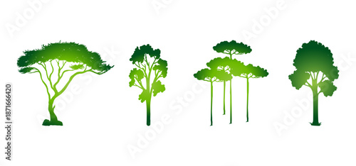 Tree Vector Illustration Collection Featuring Tropical and Orchard Trees with Mango, Apple, Banana, Orange, Coconut Palm and More Isolated on White Background, Colorful Tree Vector Illustration