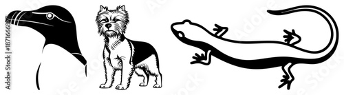 Three Animal Silhouettes Goose, Terrier, and Salamander in Vector Style