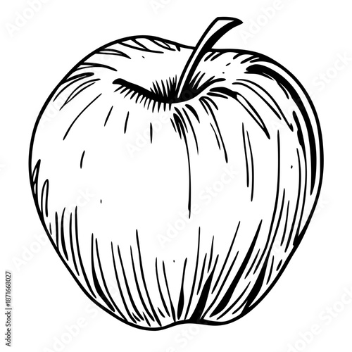 vector illustration of an apple
