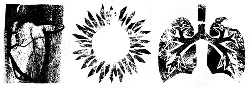 Human Heart, Sunburst, and Lungs in Grunge Vector Illustration