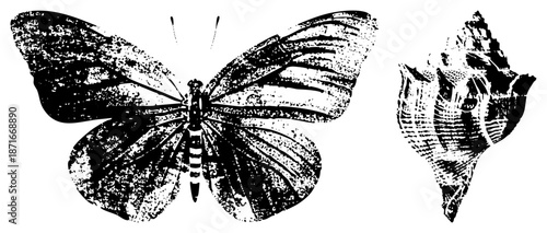 Vintage Halftone Butterfly and Illustration Set