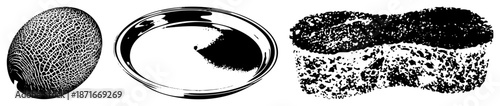 Textured Melon, Shiny Plate, and Crumbly Bread Slice in Black and White Vector