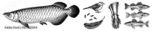 Intricate Black and White Illustration of Arapaima, Bird, Feather, Armor, and Fish
