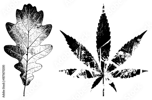 Stylized Oak and Leaves in Grunge Vector Art