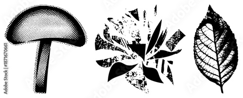 Three Botanical Elements in Halftone and Stylized Vector Forms