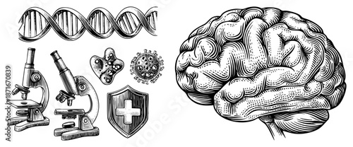Detailed Medical Science Including Brain and DNA Double Helix
