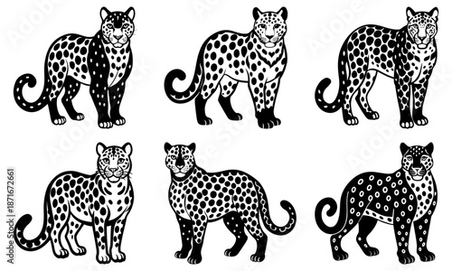 Six leopards with black spots on white background animal wildlife 1