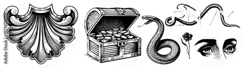 Ornate Motif, Open Treasure Chest, Serpentine Design, and Eye Detail Vector Set