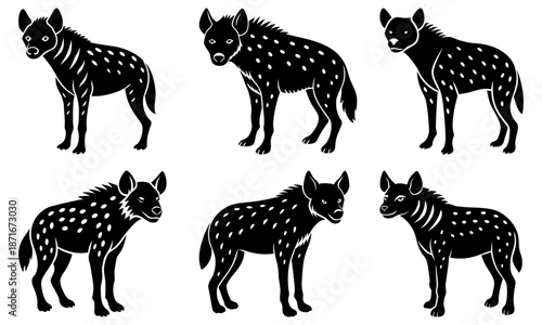 Five spotted hyenas standing on white background animal wildlife