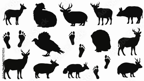 Collection of Animal Silhouettes and Footprints.