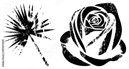 Stylized Black and White Rose with Thistle Graphic Design Elements