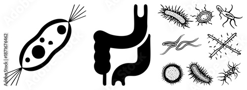 Microscopic Parasites and Gut Organism Illustrations in Black and White