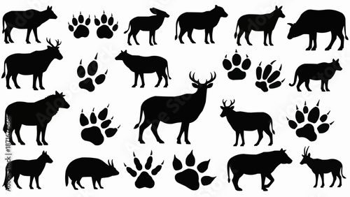 Collection of Animal Silhouettes and Paw Prints.