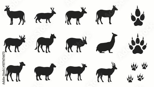 Collection of Animal Silhouettes and Paw Prints.