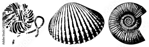 Three Stylized with Bold Striped in Vector Art