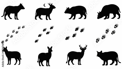 Collection of Animal Silhouettes and Footprints.