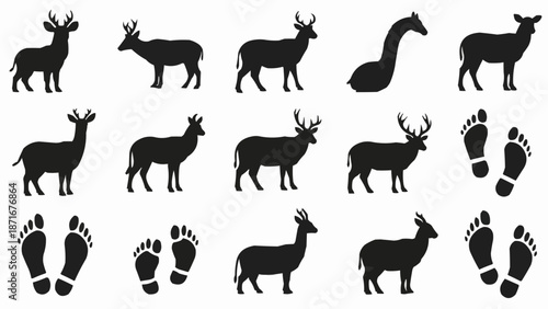Collection of Animal Silhouettes and Footprints Vector Art.