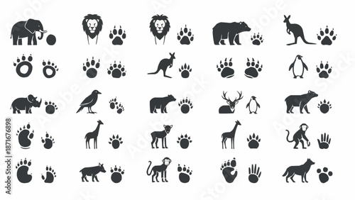 Collection of Animal Silhouettes and Paw Prints.