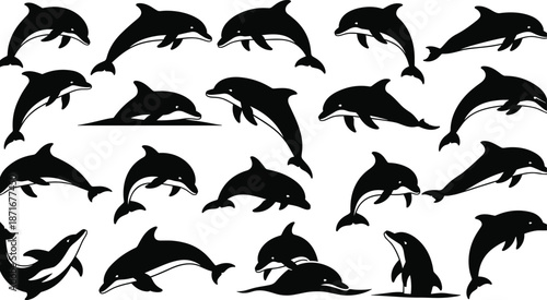 Black dolphin silhouettes collection, marine mammal jumping swimming poses, ocean wildlife vector illustration set isolated on white background, for stock 