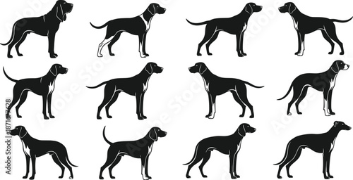 Dog silhouette collection showing different standing poses, black vector illustration set, domestic animal shapes, pet design elements, isolated on white background