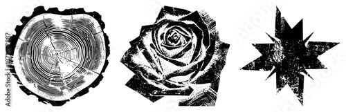 Vintage Wood Stump, Rose Bloom, and Starburst in Grunge Halftone Vector Set