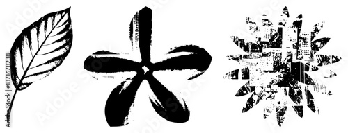 Three Abstract Botanical Vector Illustrations in Halftone Style