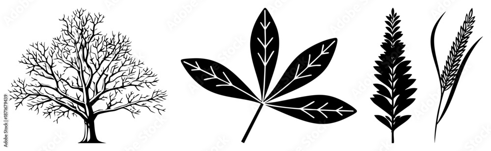 Fototapeta premium Bare Winter Tree, Maple Leaf, Fern and Grass Silhouettes in Vector Art