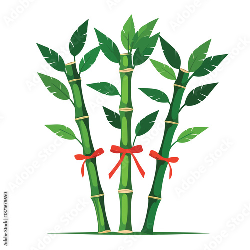 Lucky Bamboo Plant Stalks Flat Vector Illustration