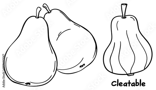 Hand Drawn Pear Illustration with “Cleatable” Label