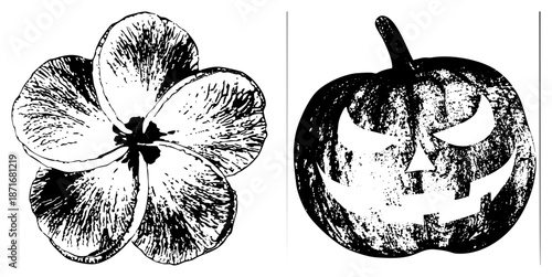 Halloween Pumpkin and Flower Vector Illustration Set