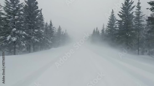 Dangerous blizzard engulfs snow-covered forest road near zero visibility winter storm