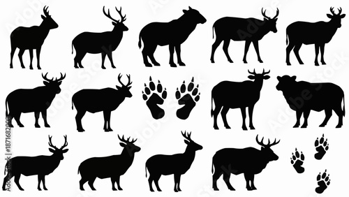 Collection of Deer and Bear Paw Print Silhouettes.