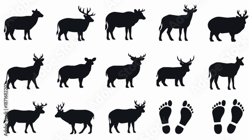 Collection of Deer Silhouettes and Footprints.
