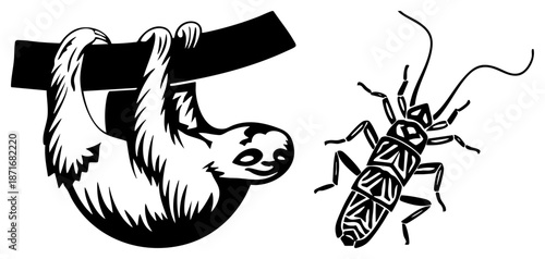 Sloth Hanging from Branch and Insect with Geometric