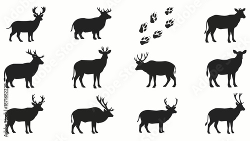 Collection of Deer Silhouettes and Paw Prints.